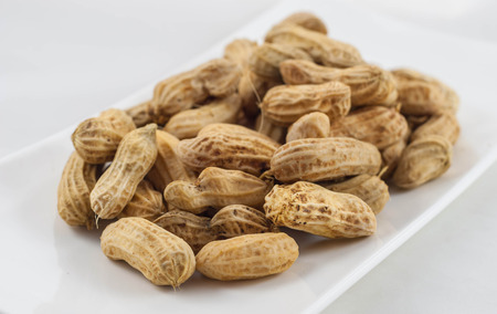 fresh peanut in white background