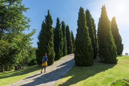 Tourist walk in the park on morningの写真素材