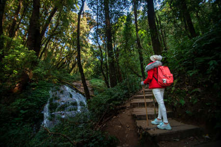 Young Asian female hipster hiking in forest , wild , adventure. Travel conceptの写真素材