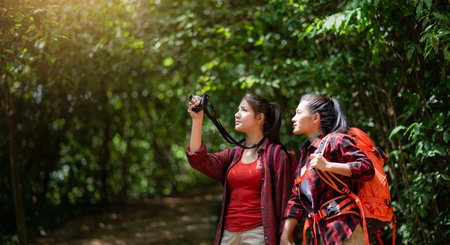 Two hikers with backpacks walking in the forest enjoying the valley view and taking pictures. help each otherの写真素材