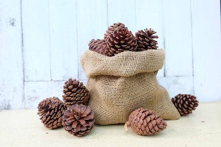 The cones for decoration at Christmas .の写真素材