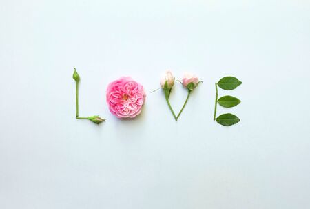 The word love made of rosesの写真素材
