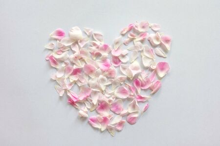 beautiful heart of petals pink roseの写真素材