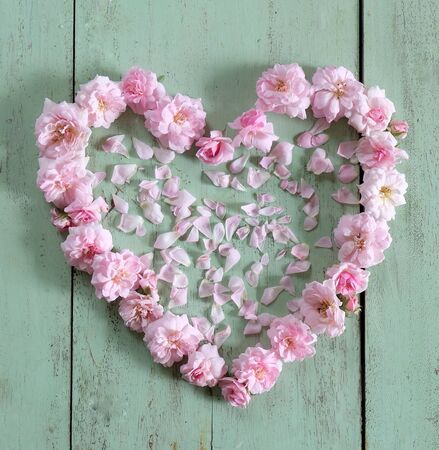 beautiful heart of pink rose on the old wooden floorの写真素材