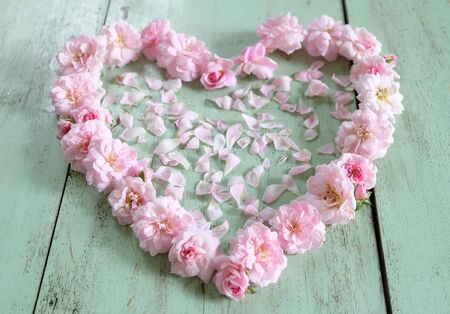 beautiful heart of pink rose on the old wooden floorの写真素材