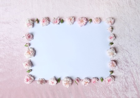 beautiful of pink rose on white paper and pink velvet backgroundの写真素材