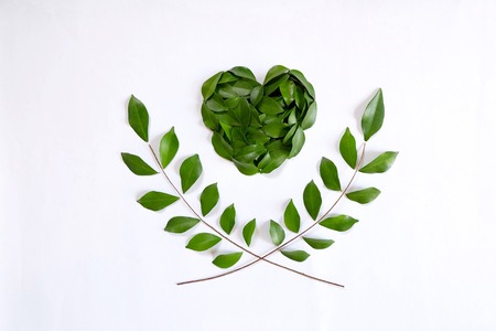 Green heart made of leaves and olive branch .の写真素材