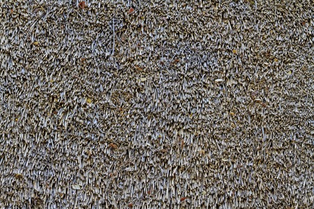 Thatched roof texture element ancient architecture, straw