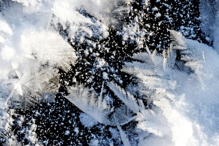 excellent frost pattern on a water surface,frost, cold, winter is near, cooling, beautyの写真素材