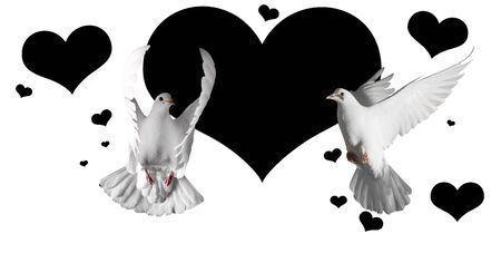 pair of white doves and black hearts on a white background,Valentine's Day, love, love day, heart, symbol of loveの写真素材