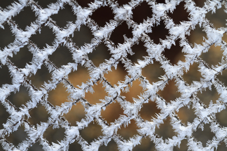 beautiful structure of frost on the net netting,winter, winter is close, cold, subzero temperaturesの写真素材