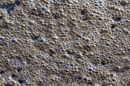 bubbles of foam in hot water,Winter texture, frozen bubbles, river, forest, winter concept