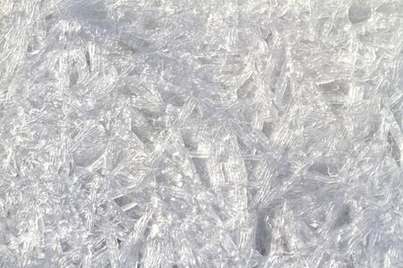 ice crystals on river bank,Winter texture, frozen bubbles, river, forest, winter concept