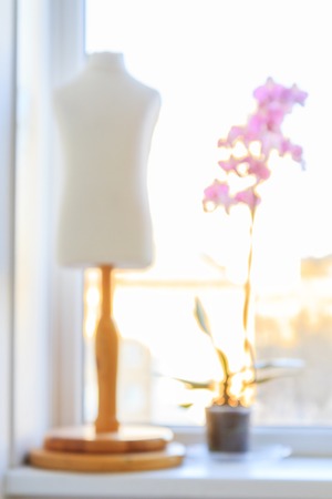 blurred bokeh dummy and orchids stand in the windowの写真素材