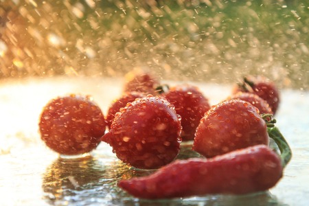 Fresh red vegetables in the rainの写真素材