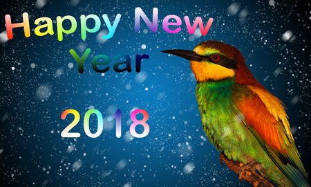new year 2018 and colored birdの写真素材