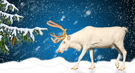 Winter holidays banner horizontal concept deer behind a snowy landscape, change of year, new year 2018, christmasの写真素材