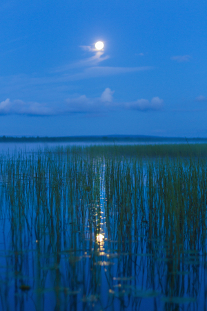 full moon and lunar track on the night lake, summer landscapeの写真素材