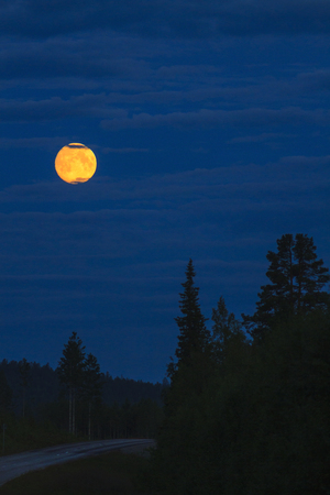 full moon and trail going through the woods, trip in the night, white nightsの写真素材