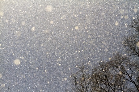 winter background sky, tree and falling snowの写真素材