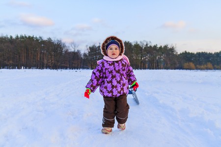 little girl pulls sled in the snowの写真素材
