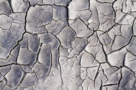 cracked earth and beautiful shades of gray, wild nature