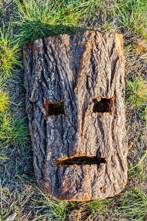 Norse god Loki mask carved from the bark, mythology and sagas