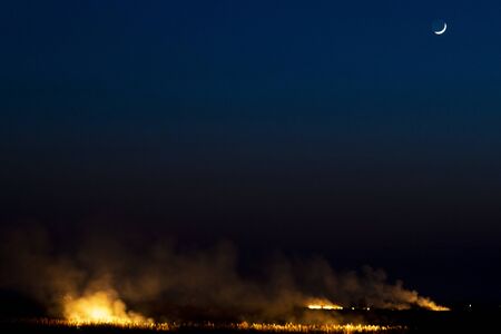 fire in the steppe on a moonlit night, wild natureの写真素材