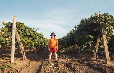 girl in a black hat stands in the middle of a vineyardの写真素材