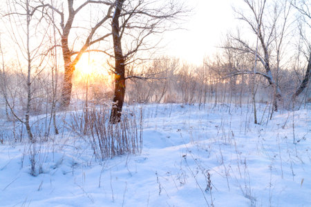 sunrise over a snowy fieldの写真素材
