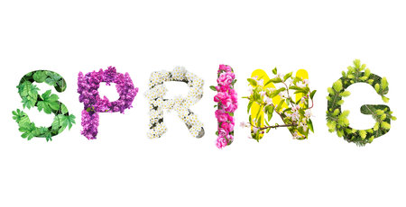 word spring made of floral letters isolated on whiteの写真素材