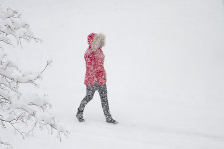 girl walks through a park during a snowfallの写真素材