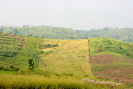 Two tone hill  at Khao-Kho,Petchaboon, Thailand