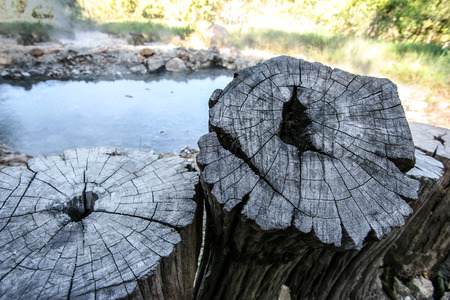 Old Timber at Pong Duad , Meahongson Thailandの写真素材