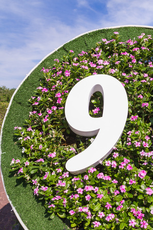 Number 9 on Flower background and blue skyの写真素材