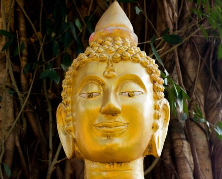Head of sandstone buddha in thailandの写真素材