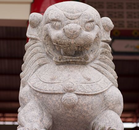 The  lionの写真素材