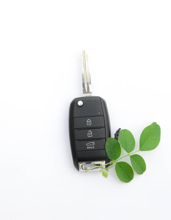 Car key with green leafの写真素材