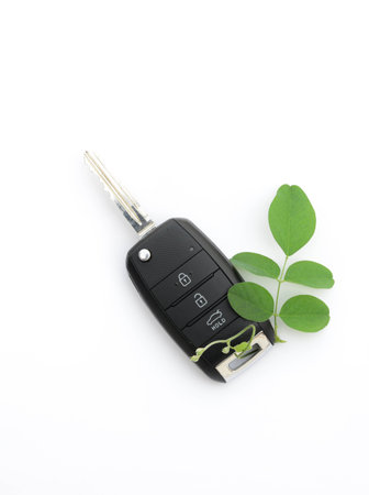 Car key with green leafの写真素材