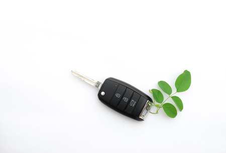 Car key with green leafの写真素材