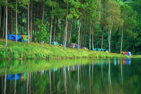  Pang-ung, pine forest park for relax in thailand