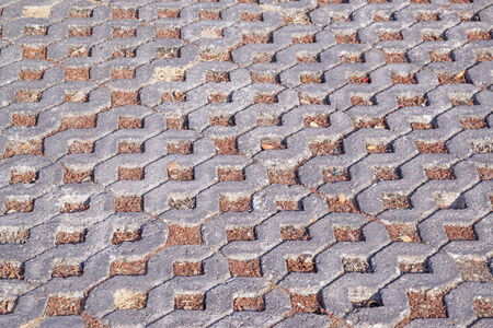 Cement brick sidewalk with dry grass  