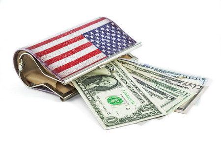 american flag woman wallet and US   Dollar Money 