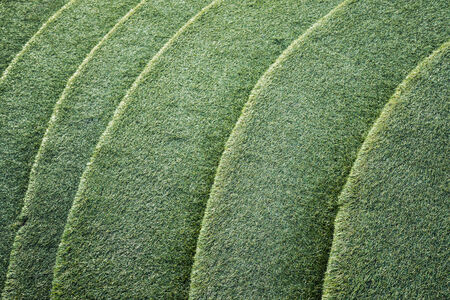 Abstract curve of artificial grass の写真素材