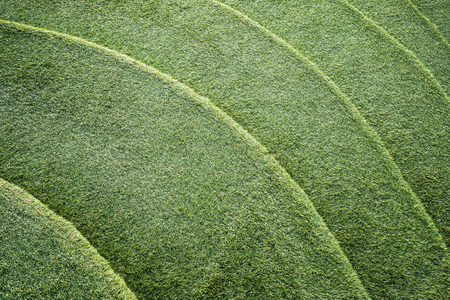 Artificial grass staircase backgroundの写真素材