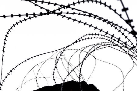 Rolled barbed wires at security zoneの写真素材