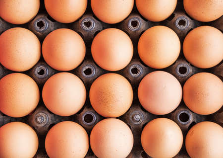 Eggs in the package.の写真素材
