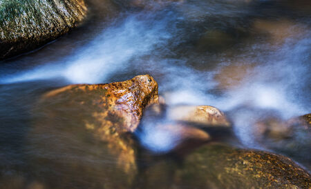 Forest stream flowing fast over rocks.の写真素材