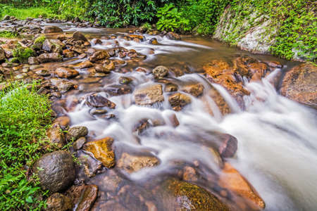 Water flowing over rocks in a creek. の写真素材