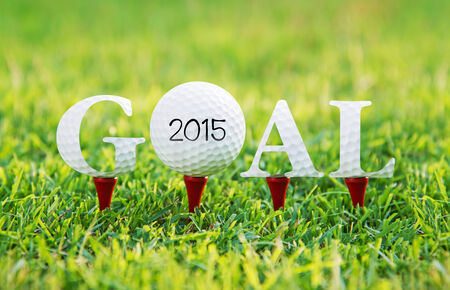 Goal 2015 ,concept go to successの写真素材